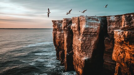 Sticker - Dramatic coastal cliffs meet the ocean at sunset, with seagulls soaring above.