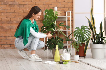 Wall Mural - Beautiful young woman pruning Monstera houseplant at home