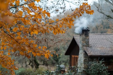 Poster - Cozy cabin nestled in autumn leaves with smoke rising from chimney during tranquil outdoors scene. Generative AI