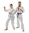 © New Africa - Karate fighters in uniform on white background