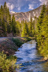 Wall Mural - USA, Colorado, Cameron Pass. The Grand Ditch watering system stream.