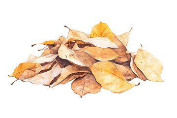 Poster - Watercolor pile of dry leaves isolated on a white background