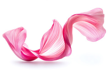 Leinwandbilder - Wind swirls with flower pink petals isolated on a white background