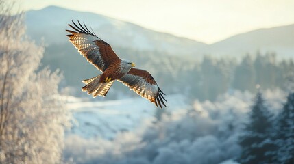 Wall Mural - a majestic bird soaring over snow-topped trees in a winter wonderland