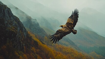 Wall Mural - large bird flying over yellow-orange hillside amidst fog