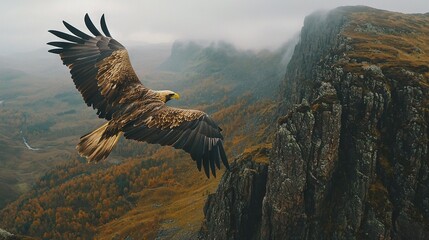 Wall Mural - a majestic bird soaring above a towering mountain, surrounded by dense trees and shrouded in mist