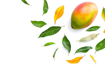 Poster - The leaves of a mango are falling isolated on a white background