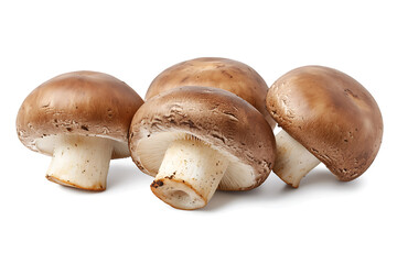 Three brown champignons or portobello mushrooms isolated on a white background