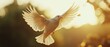 © Ai Studio - A white dove gracefully soars in the golden morning light, its wings spread wide against a backdrop of blurred greenery, symbolizing peace and freedom.