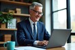 © NeedMoreMars - Happy Senior Businessman Working on Laptop in Modern Office, Smiling Executive Engaged in Professional Tasks at Desk with Green Plants