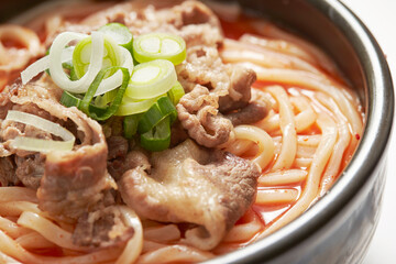 Wall Mural - Udon with meat in a bowl