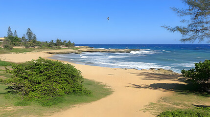 Wall Mural - Coastal Beach Scene Photo