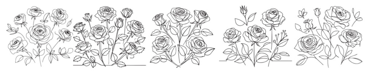 vector set of roses with continuous line style