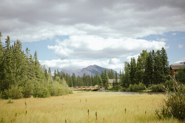 Wall Mural - Grassy meadow with trees, bridge, and mountains in Canmore, Canada