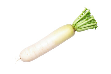 Sticker - Daikon radish isolated