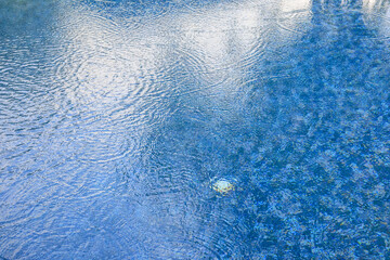 Wall Mural - swimming pool water surface and ripple wave with blue mosaic tiles