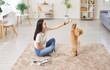 © Studio Romantic - Cheerful young woman sitting on floor, playing with her small puppy. Positive girl training her maltipoo dog, giving her treats for doing actions and following instructions, enjoying leisure with pet.