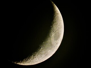 Wall Mural - moon in the night