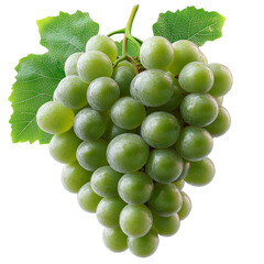 fresh green grapes bunch juicy ripe fruit cluster isolated transparent background