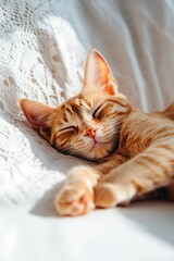 Wall Mural - Adorable ginger kitten peacefully sleeping on soft white fabric.