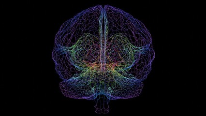 Poster - Abstract Digital Brain Wireframe with Multicolor Gradient