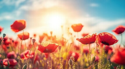 Poster - Vibrant poppy field under a sunny sky during golden hour showcasing natures beauty and tranquility. Generative AI