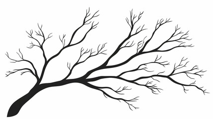 Bare tree branch silhouette, winter landscape design element