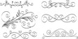 © Inna - Set of Fancy Decorative Ornamental Lines