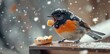 © redflower - A beautiful close-up of a colorful sparrow enjoying a piece of bread in a snowy winter setting.