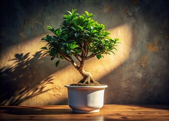 Wall Mural - Vintage Style Photo: Ginseng Ficus Bonsai in White Pot, Wall Shadow