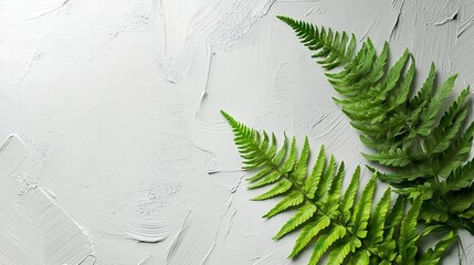 Wall Mural - delicate fern leaves on light gray textured surface with soft shadows