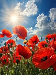 Poster - Fields of vibrant red poppies bloom under a bright sun in a clear blue sky during springtime. Generative AI