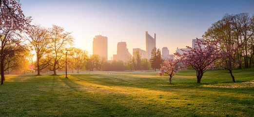 Wall Mural - Spring colors and warm light, wide angle view of awakening city park