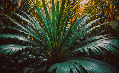 Poster - A lush green plant with a large leafy stem. The plant is surrounded by other plants and leaves