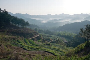 Leinwandbilder - Serene morning view of terraced fields in mountainous region with misty hills and trees. Generative AI