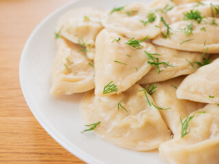 Vegetable dumplings gyoza with dill on white plate