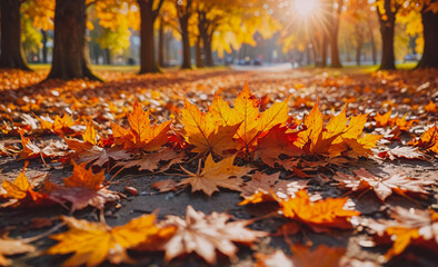 Poster - A large pile of orange leaves on the ground. The leaves are scattered in a field and there are some trees in the background