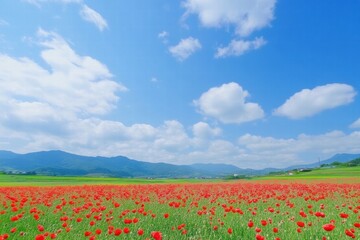 Poster - Vibrant red poppy field under a bright blue sky with fluffy white clouds near rolling hills. Generative AI