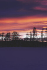 Wall Mural - Photography from the rural landscape below Skreia, Toten, Norway, an afternoon of January 2025.