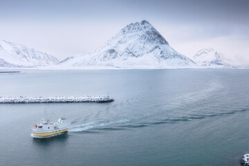 Wall Mural - fishing boat in the fjord. aerial view of lofoten islands, norway. industrial fishing. view from a d