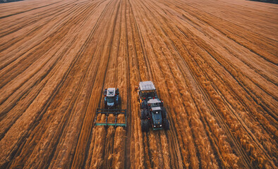 Poster - A field of grain is being harvested by two tractors. The tractors are in the middle of the field and are moving in opposite directions. The field is very large and the tractors are spread out