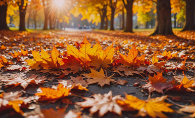 Poster - A large pile of orange leaves on the ground. The leaves are scattered in a field and there are some trees in the background