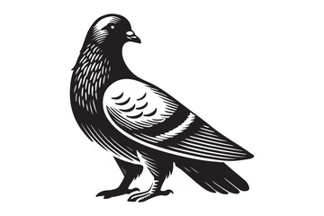 pigeon silhouette
