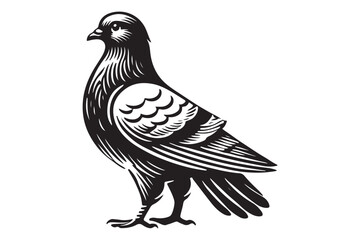 pigeon silhouette