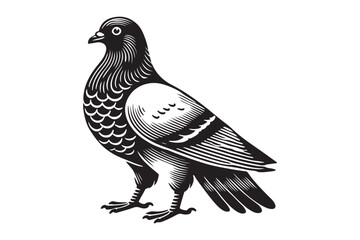 pigeon silhouette