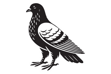 pigeon silhouette