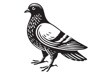 pigeon silhouette