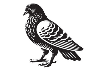 pigeon silhouette