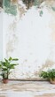 © Nipa - Rustic White Wall Background with Plants and Wooden Floor