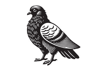 pigeon silhouette
